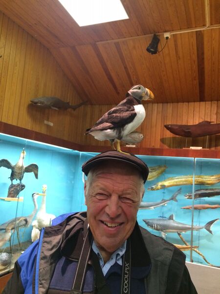 File:1276 - G puffin.jpeg