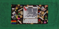 AIDS Memorial Quilt Block 3529
