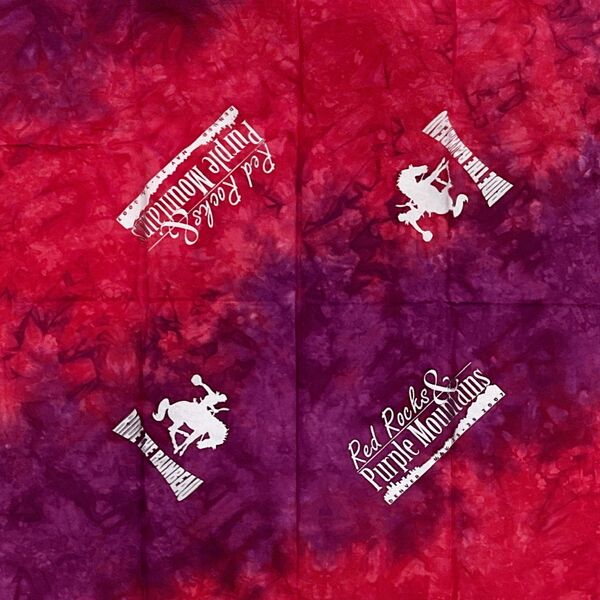 File:BandanaRedRocksandPurpleMountains2007.jpeg