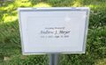 Find A Grave Memorial 216217895