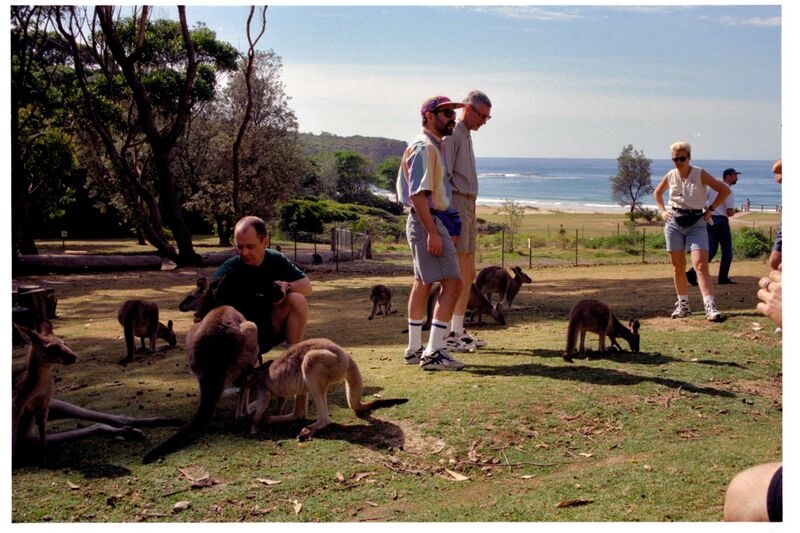 File:PTDU F0410-19.jpg