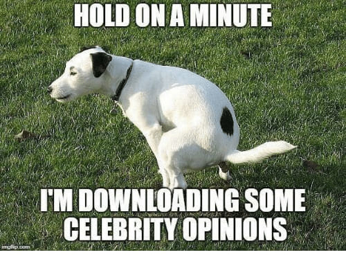 File:DownloadingCelebrityOpinions.jpg