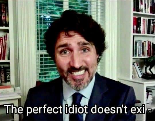File:PerfectIdiotTrudeau.JPG