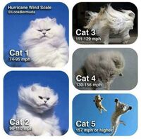 HurricaneCatScale.jpg