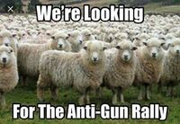 LookingForAntiGunRally.jpg