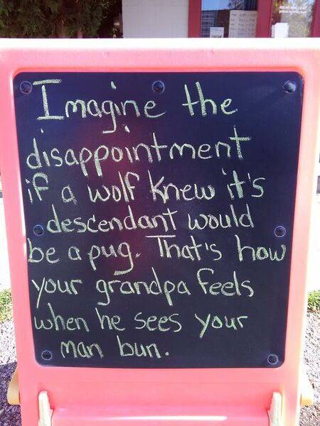 File:ManBun.jpg