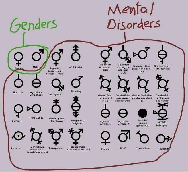 File:Transstupid2.jpg