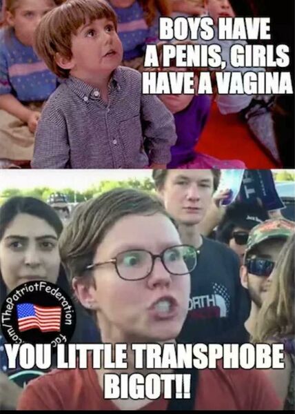 File:VaginaPenisTrans.jpg