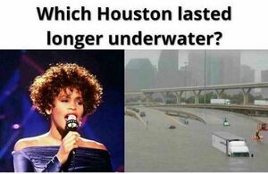 WhitneyHoustonUnderwater.jpg