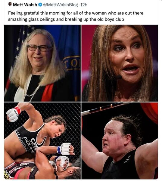 File:WomenBreakingGlassCeilings.jpg