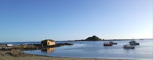 Island Bay.jpg