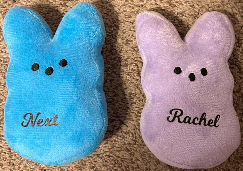 File:Nachel Bunnies.png