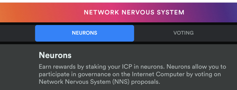 File:Nns-frontend-dapp-neurons.png