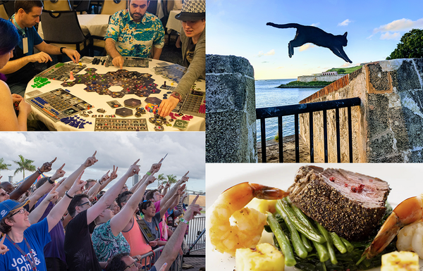 2025-cruise-highlights-collage.png