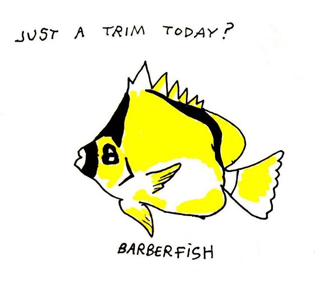 File:Barberfish.jpg