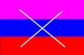 Vapubsexual Flag (aceoffvh)