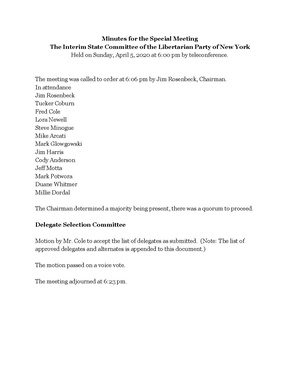 LPNY MINUTES 2020-04-05 Interim State Committee Meeting.pdf