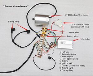 1800w 7.jpg