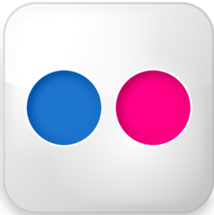 Flickr Logo.png
