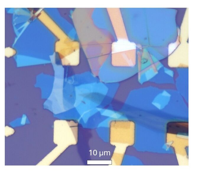 File:Figure 11111.jpg