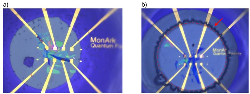 File:Figure 33sdfsd3.jpg