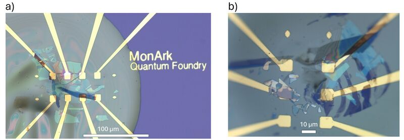 File:Figure 5555.jpg