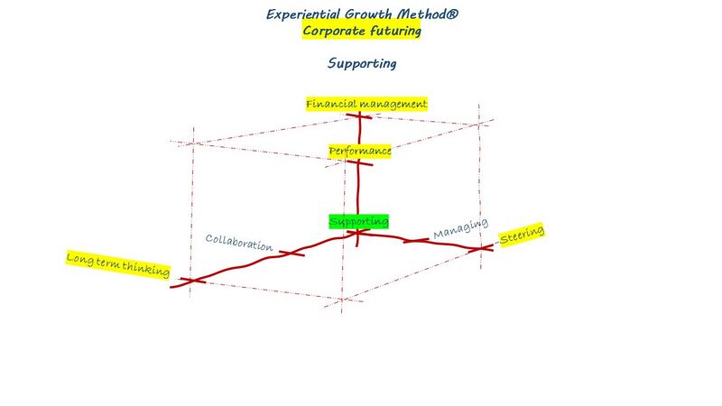 EGM - Cf - Supporting - 3D - ENG.jpg