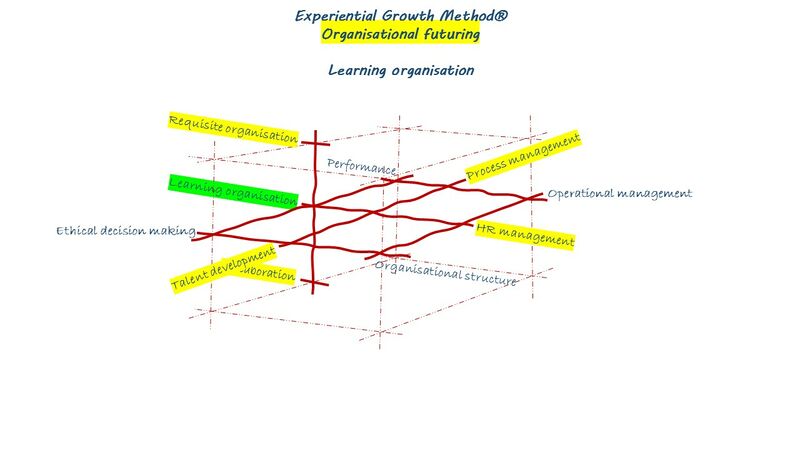 EGM - Of - Learning organisation - 3D - ENG.jpg