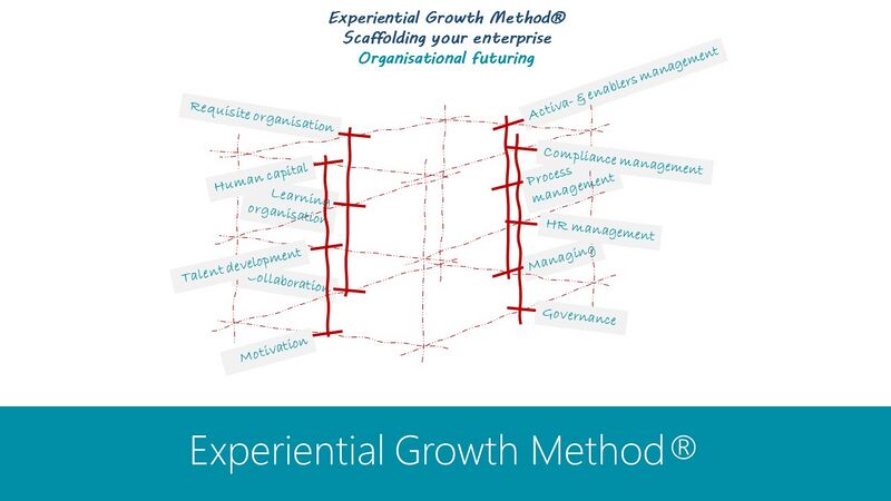 EGM - Scaffold - Organisational futuring - ENG.jpg