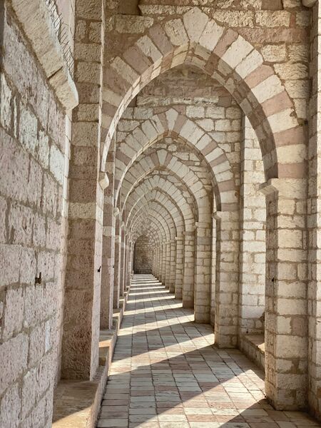 File:Stefano-marsella-Pt1 jCqCyv0-unsplash.jpg