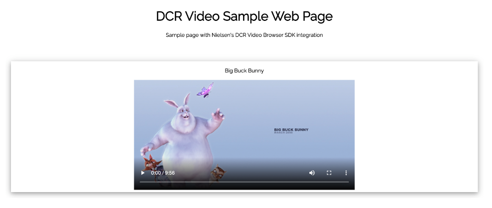 BSDK DCR Video EX.png