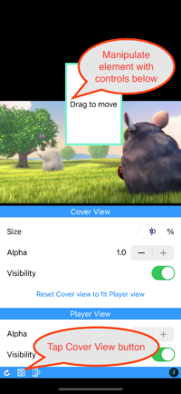PlayerView CustomView.png