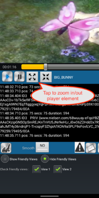 PlayerView Zoomin.png