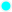 Marker-cyan-12x12.png