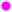 Marker-pink-12x12.png