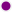 Marker-purple-12x12.png