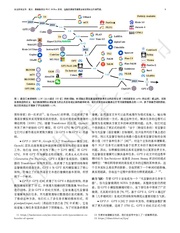 下一页 →