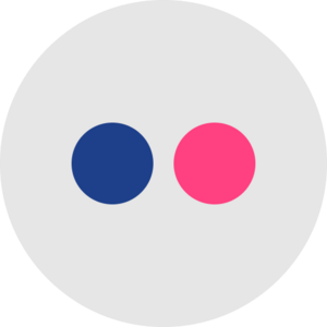 Flickr Icon.png
