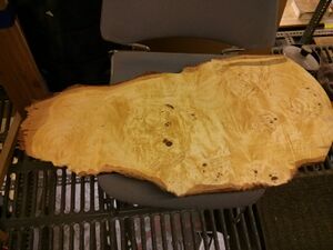 TidySpace-2014-08-shelf 18.jpg