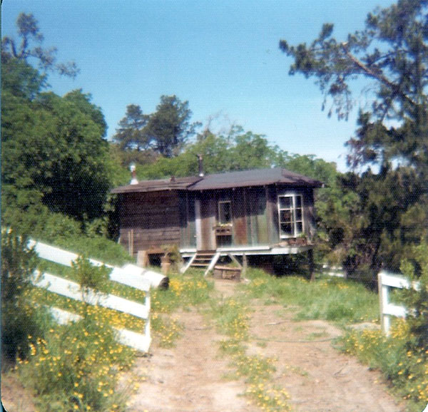 view_of_cabin.jpg