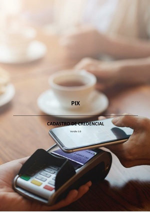 Pix Cadastro Software Express.pdf