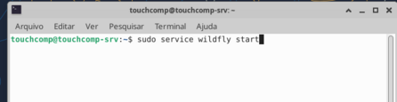 Sudo service wildfly start.png