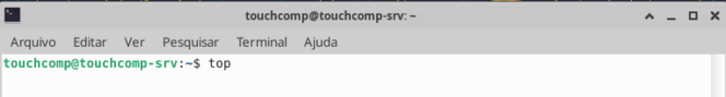 Top comando linux.png