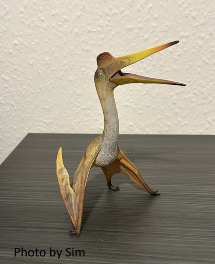 File:Hoalonggoodquetzalcoatlus.jpg