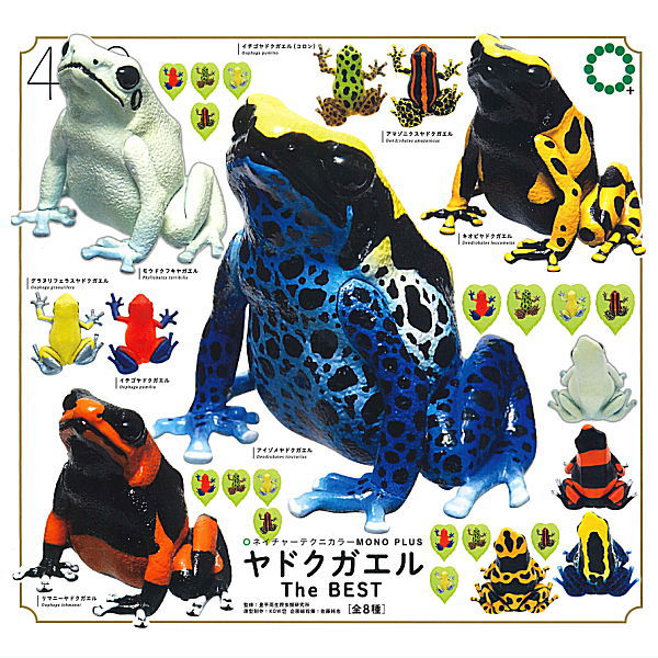 File:Nature Technicolor Dendrobates 1 magnets & straps.jpg