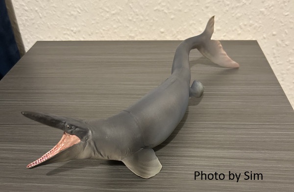 File:Pnso tylosaurus.jpg