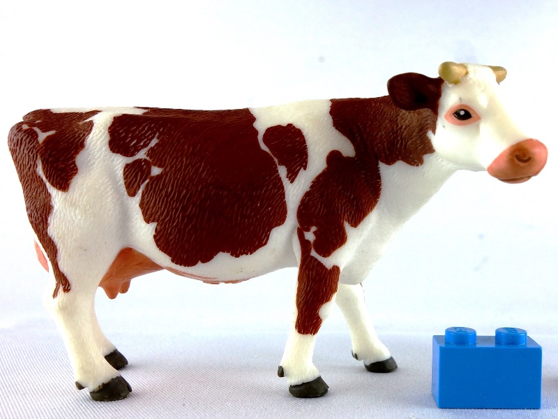 SIKU-cow-brown-right