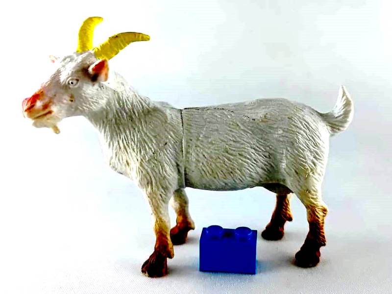File:TM 2011 Goat 2072-P7 left.jpg