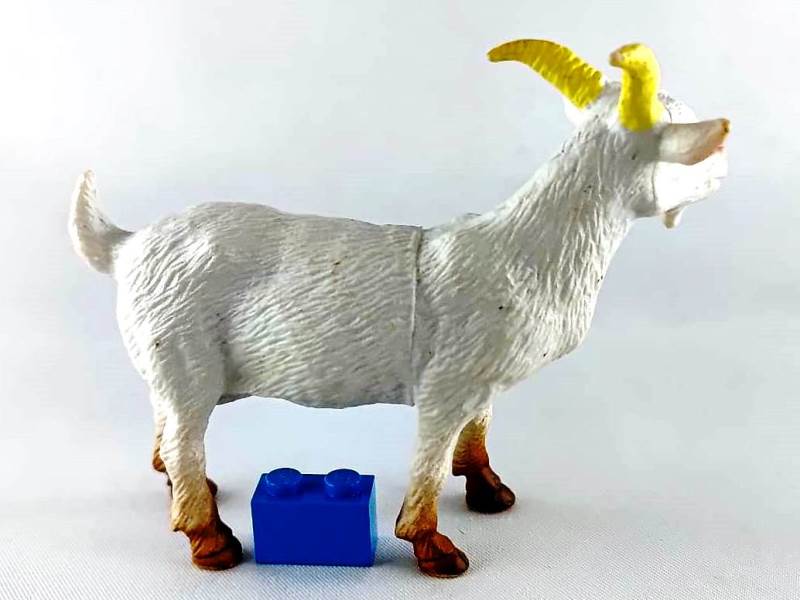 File:TM 2011 Goat 2072-P7 right.jpg