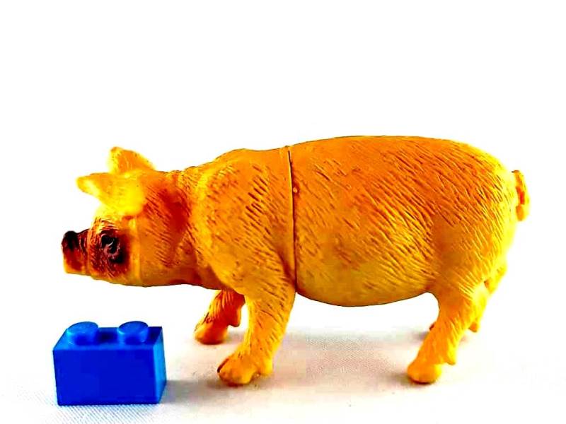 File:TM 2011 Pig 2123-P1 left.jpg